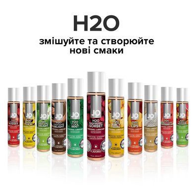 Смазка на водной основе JO H2O &mdash; Raspberry Sorbet (120 мл) без сахара, растительный глицерин SO1671 фото