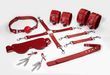 Набор Feral Feelings BDSM Kit 7 Red, наручники, поножи, коннектор, маска, паддл, кляп, зажимы SO8277 фото 2